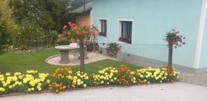 Habjanič (2)